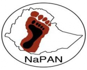 National Podoconiosis Action Network (NaPAN)